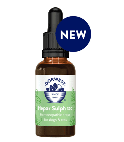 Hepar Sulph 30C - Dorwest Herbs
