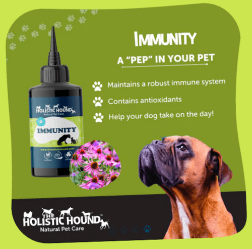 Holistic Hound - Immunity