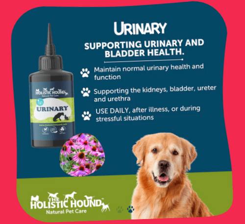 Holistic Hound - Urinary