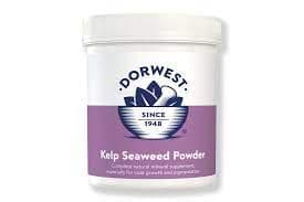 Kelp Seaweed Powder - Dorwest Herbs
