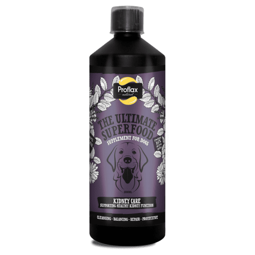 Kidney Care - Proflax