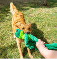 Kong Knots Frog XL Plush Tuggy Toy