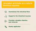 Prebiotic TopinPur Jerusalem Artichoke - Aniforte
