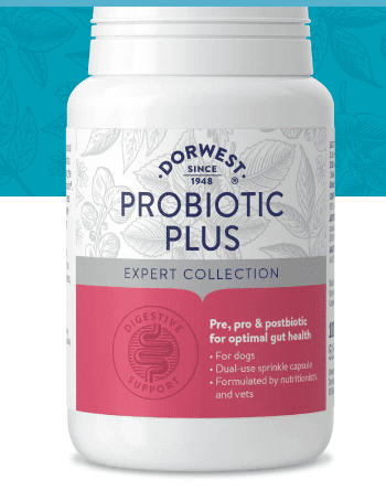 Probiotic Plus - Dorwest Herbs