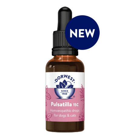 Pulsatilla 15c - Dorwest Herbs
