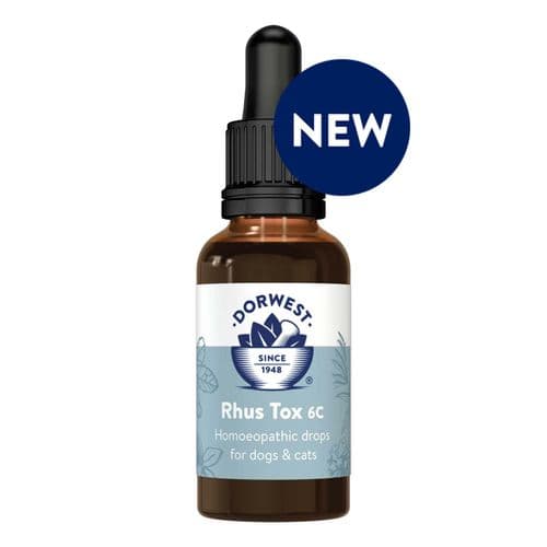 Rhus Tox 6C - Dorwest Herbs