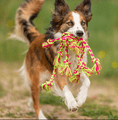 Rope Toy Woven Ball - Trixie