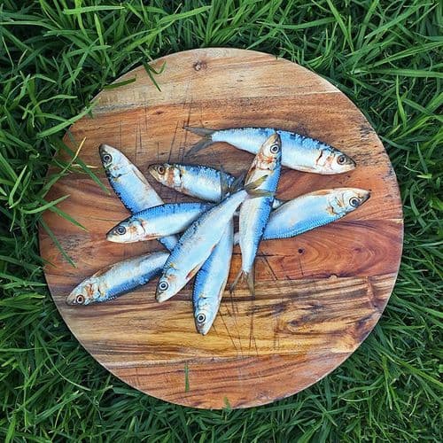 Sprats - 1KG Raw IQF