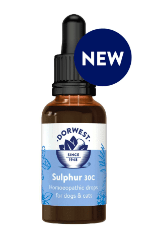 Sulphur 30c 15ml - Dorwest
