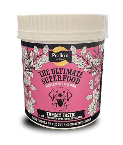 Tummy Tastic - Proflax