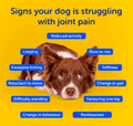 Zooomy - Hyaluronic Acid Canine Joint Support