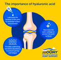 Zooomy - Hyaluronic Acid Canine Joint Support