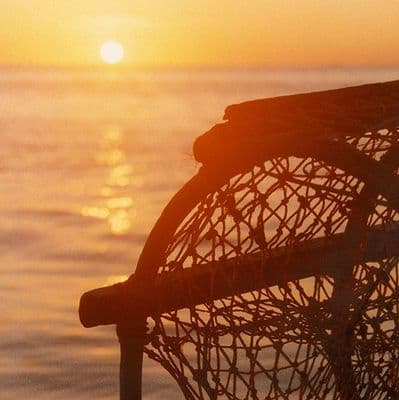 Evening at the Creels