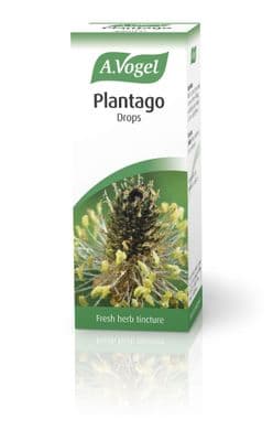 A.Vogel Plantago lanceolata - 50ml