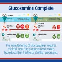 Lamberts Glucosamine Complete - 120 tablets