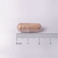 Lamberts L-Theanine 200mg - 60caps