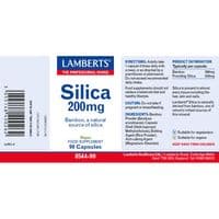 Lamberts Silica 200Mg - 90 Caps
