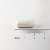 Lamberts Silica 200Mg - 90 Caps