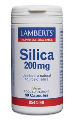 Lamberts Silica 200Mg - 90 Caps