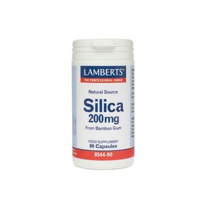 Lamberts Silica 200Mg - 90 Caps