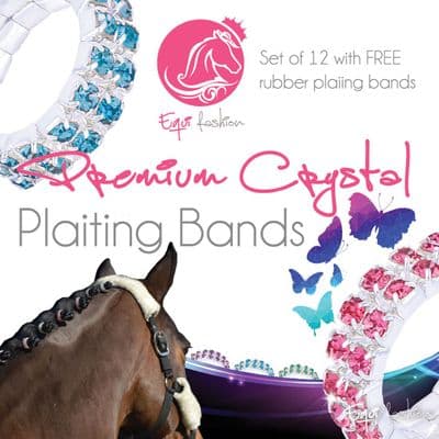 Equifashion Horse Crystal Plaiting Bands - Double Row