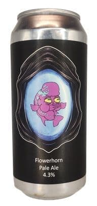 Dark Element x Flowerhorn Pale Ale