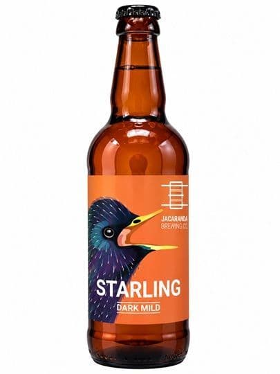 Jacaranda Starling