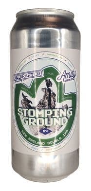 Neon Raptor Stomping Ground x Amity Colab