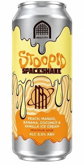 Vault City Stoopid Spaceshake