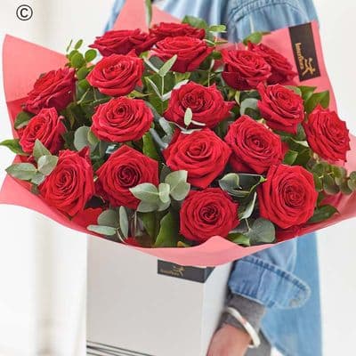 18 Luxury Red Roses CCROR1800