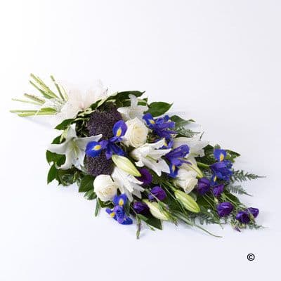 Classic Sheaf - Blue/Purple & White