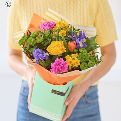 Cute Colours  Spring Gift Box SCGB0100