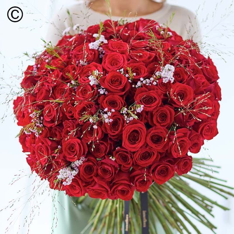 Luxury 100 Red Roses VCROR1000
