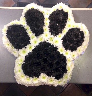 Paw Print