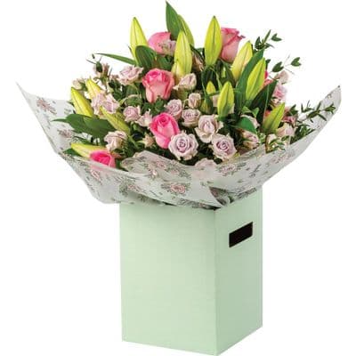 Same Day HT Aqua-pack - Pinks