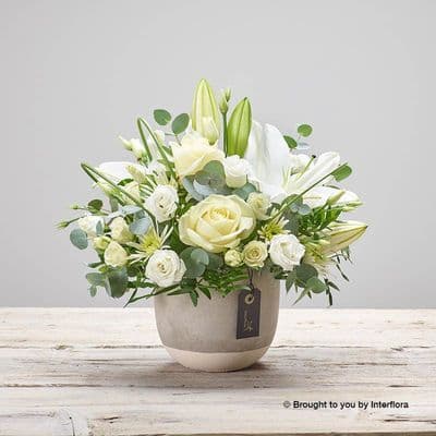 Same Day Neutrals Arrangement