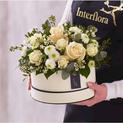 Same Day Neutrals Hatbox