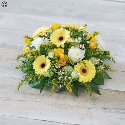 Scented Yellow Posy F13091YS
