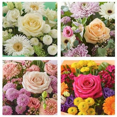 Surprise Design Gift Box CCGBU0100