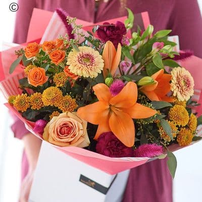 The Bonfire Beauty AHTS21