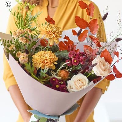 The Calming Chrysanthemums ACS11