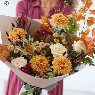 The Chrysanthemum Glow ACS12ST