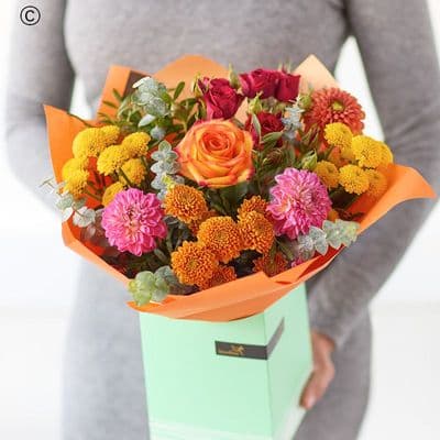 The Dahlia Delight ADS11