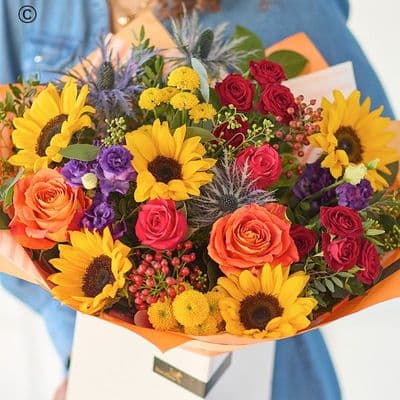 The Sunflower Carnival ASUS12ST