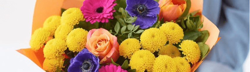 Spring Flowers