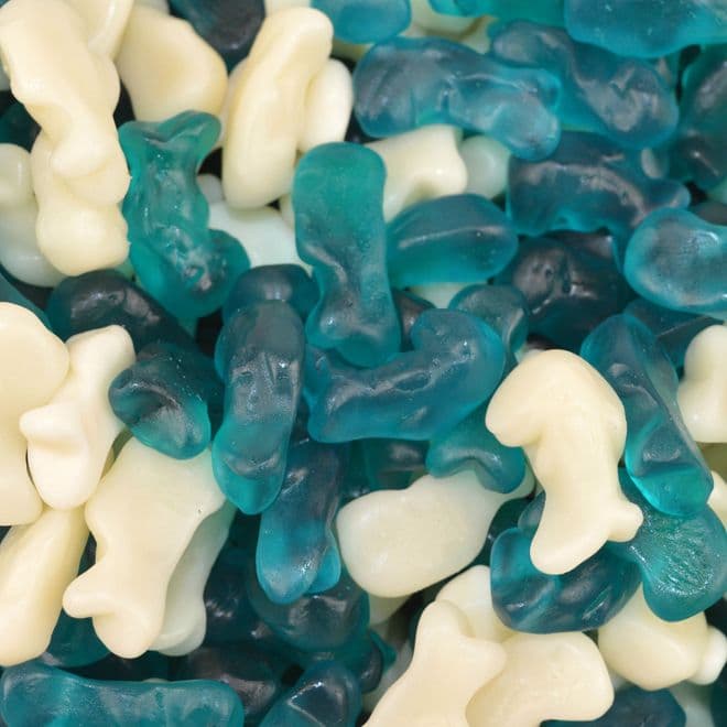 Blue Dolphin Sweets | Flavoured Gummy Sweets | Flossy Treats