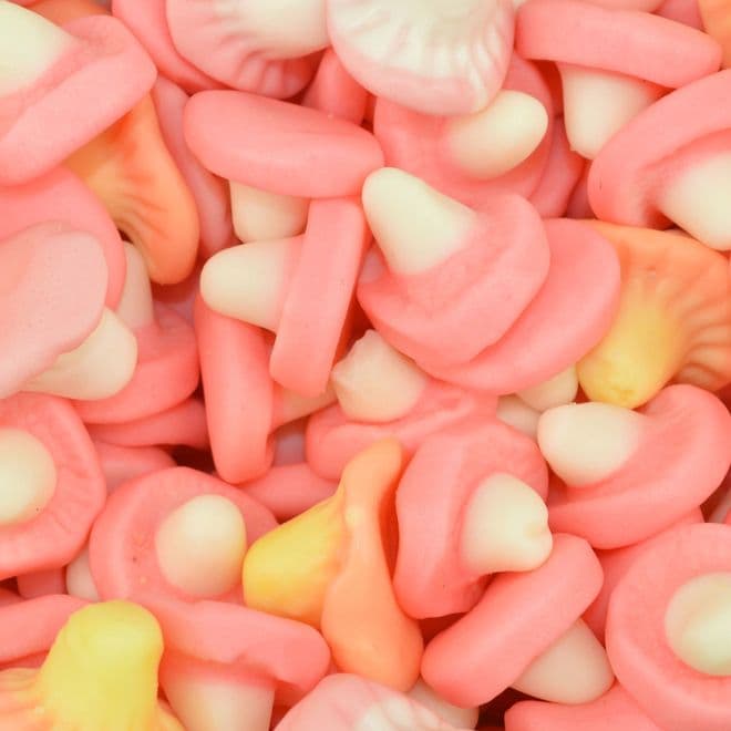 Foam Mushrooms