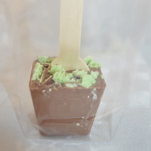 Mint Hot Chocolate stick