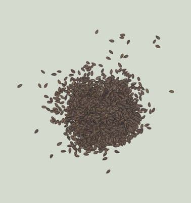 Brown Flax Seed