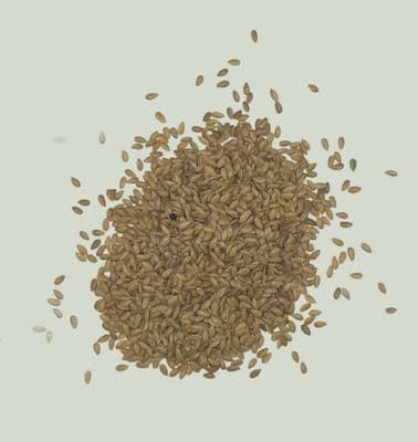 Golden Flax Seeds